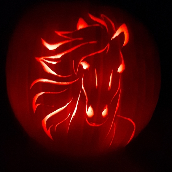 @scarlett_reign Other - Last night's pumpkin!